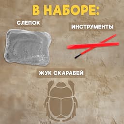 Раскопки «Тайна жука Скарабея»