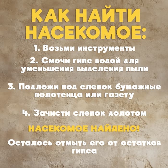 Раскопки «Тайна жука Скарабея»