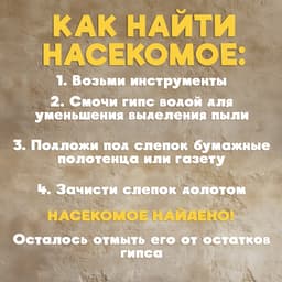Раскопки «Тайна жука Скарабея»