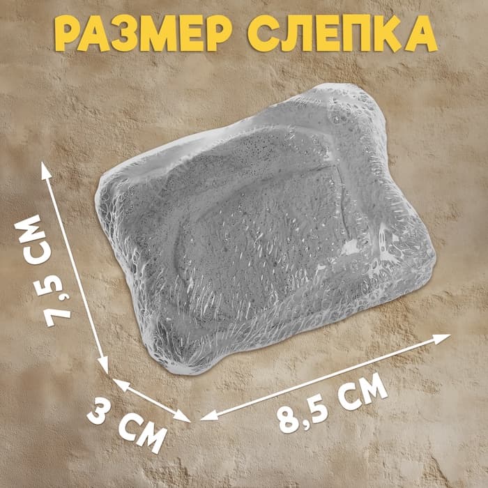Раскопки «Тайна жука Скарабея»