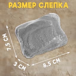 Раскопки «Тайна жука Скарабея»