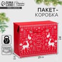 Пакет - коробка подарочный новогодний «С Новым годом», 23×18×11 см