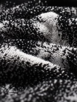 Полотенце махровое «Этель. Лучший папа», 70×130 см, 100% хлопок, 420 г/м², чёрно-белое