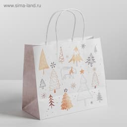 Пакет подарочный новогодний крафт «С Новым годом», 25×22×12 см