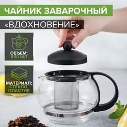Чайник заварочный «Вдохновение», 850 мл, металлическое сито, стекло, прозрачный, чёрный