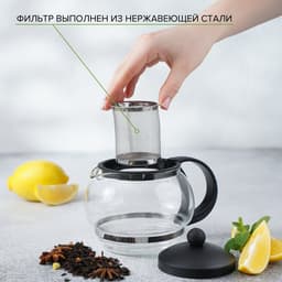 Чайник заварочный «Вдохновение», 850 мл, металлическое сито, стекло, прозрачный, чёрный
