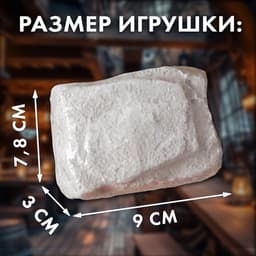 Раскопки «Пиратские монеты»