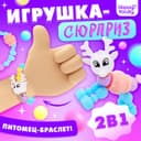 Игрушка-сюрприз Happy Valley «Funny pets», МИКС