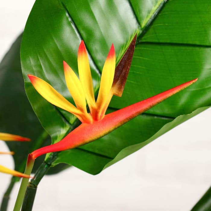 Дерево искусственное «Стрелеция», h=85 см