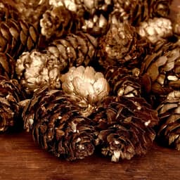 Новогодний декор «Шишки»