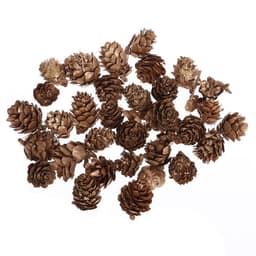 Новогодний декор «Шишки»