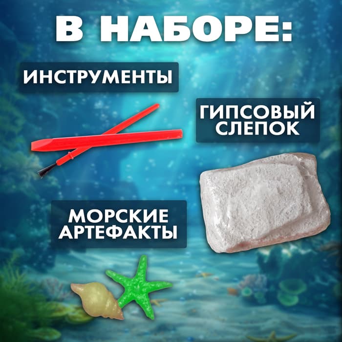 Раскопки «Сокровища океана»