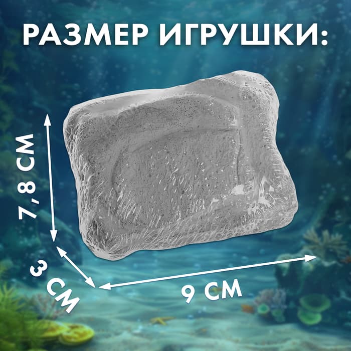 Раскопки «Сокровища океана»