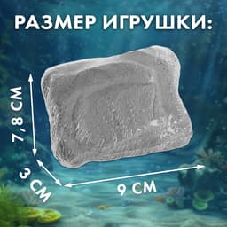 Раскопки «Сокровища океана»