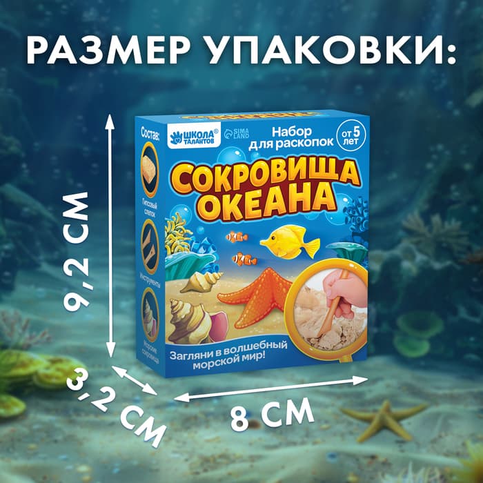 Раскопки «Сокровища океана»