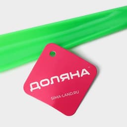 Ложка для обуви Доляна, с петелькой, 30×4 см, 17.4 см, зелёная