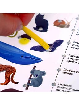 Электровикторина Десятое Королевство «Размышляй-ка», 7-12 лет
