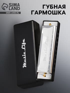 Губная гармошка Music Life, диатоническая, C-major, с футляром, серебристая