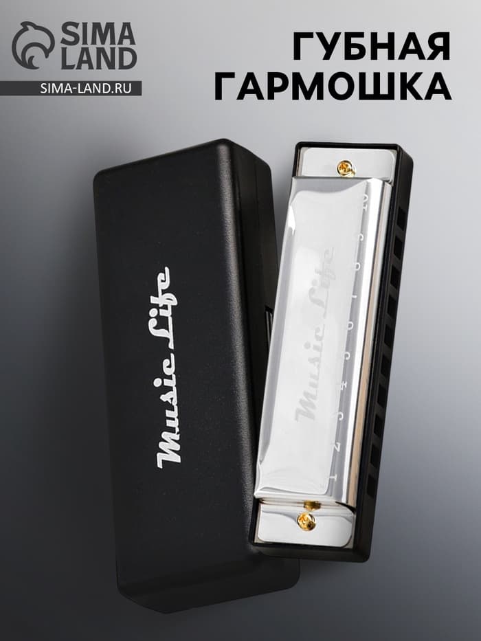 Губная гармошка Music Life, диатоническая, C-major, с футляром, серебристая