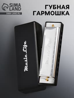 Губная гармошка Music Life, диатоническая, C-major, с футляром, серебристая