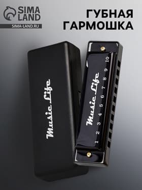 Губная гармошка Music Life, диатоническая, C-major, с футляром, черная