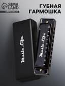 Губная гармошка Music Life, диатоническая, C-major, с футляром, черная