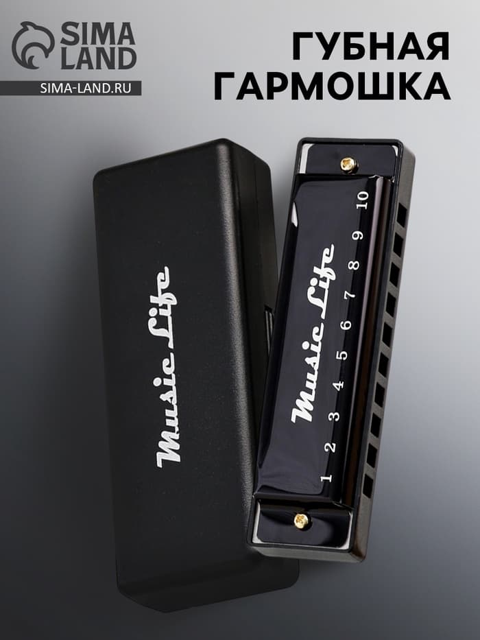Губная гармошка Music Life, диатоническая, C-major, с футляром, черная
