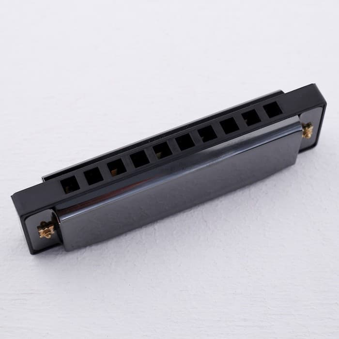 Губная гармошка Music Life, диатоническая, C-major, с футляром, черная