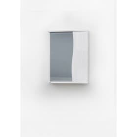 Зеркало – шкаф «Камелия», правый, 550×150×700 мм, цвет белый