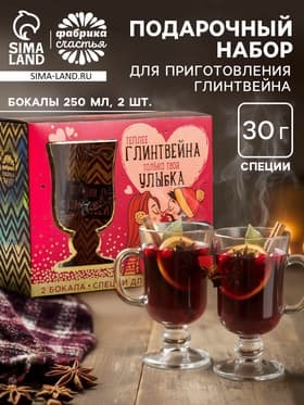 Подарочный набор новогодний для приготовления глинтвейна «Твоя улыбка»: специи 30 г, бокалы 250 мл, 2 шт.