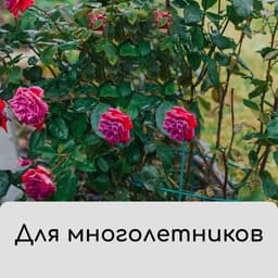 Чехол для укрытия растений, металлический каркас, 100×65 см, спанбонд с УФ-стабилизатором, плотность 60 г/м²