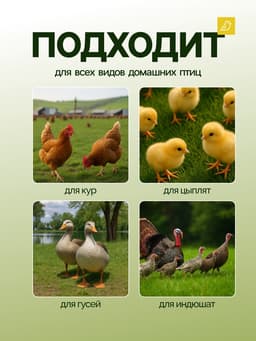 Кормушка для домашней птицы на 1.5 кг, пластик, Greengo