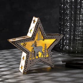 Светодиодная фигура «Звезда с оленем» 21×21×5 см, дерево, от батареек АААх2, свечение тёплое белое