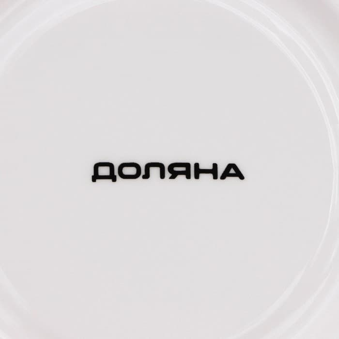 Сервиз чайный Доляна «Пташка», 12 предметов: 6 чашек 250 мл, 6 блюдец d=15 см, фарфор, белый