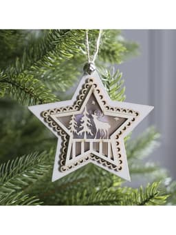Ёлочная игрушка «Звезда с оленем», 10×10×2 см, 4 LED, от батареек, свечение тёплое белое