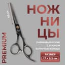 Ножницы парикмахерские с упором «Премиум», загнутые кольца, лезвие — 6.5 см, чёрные