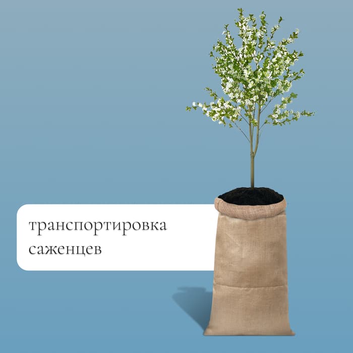 Мешок джутовый, 45×90 см, плотность 420 г/м², плетение 69×63 нити, с завязками