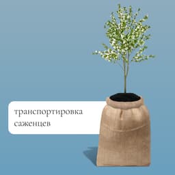 Мешок джутовый, 50×69 см, плотность 260 г/м², плетение 46×34 нити, с завязками