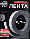Магнитная лента ТУНДРА, с клеевым слоем, 12.5×1.5 мм, длина 0.75 м