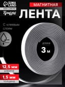 Магнитная лента ТУНДРА, с клеевым слоем, 12.5×1.5 мм, длина 3 м