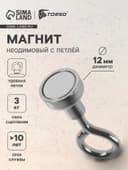 Магнит неодимовый TORSO с петлёй для авто, d=12 мм, сцепление 3 кг