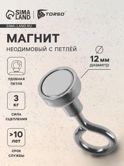 Магнит неодимовый TORSO с петлёй для авто, d=12 мм, сцепление 3 кг
