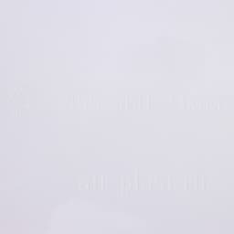 Поднос Альт-Пласт «Колос», пластик, 45.5×36 см, МИКС