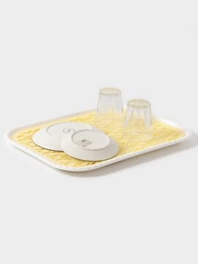 Поднос с вкладышем для сушки посуды Альт-Пласт «Колос», пластик, 45.5×36 см, МИКС