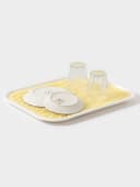 Поднос с вкладышем для сушки посуды Альт-Пласт «Колос», пластик, 45.5×36 см, МИКС