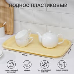Поднос Альт-Пласт «Эгоист», 40.6×26.6 см, пластик, МИКС