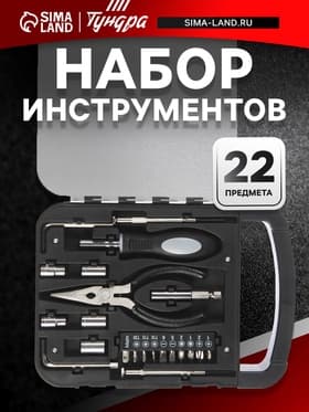 Набор инструментов ТУНДРА, пластиковый кейс, 22 предмета