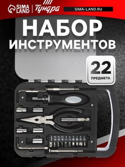 Набор инструментов ТУНДРА, пластиковый кейс, 22 предмета