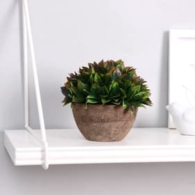 Искусственный цветок в горшке «Густые листики», 13×11 см, МИКС