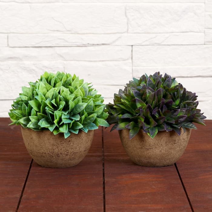 Искусственный цветок в горшке «Густые листики», 13×11 см, МИКС